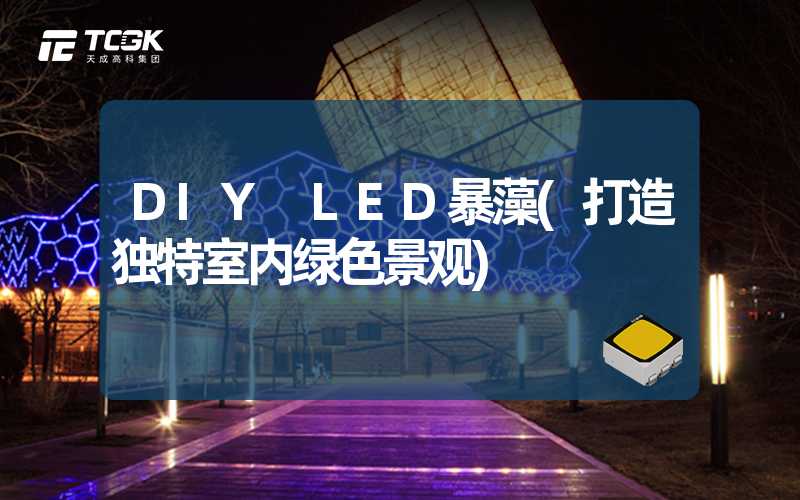 DIY LED暴藻(打造独特室内绿色景观)